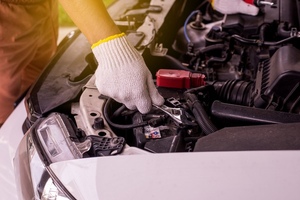 АвтоРеф открывает категорию B
